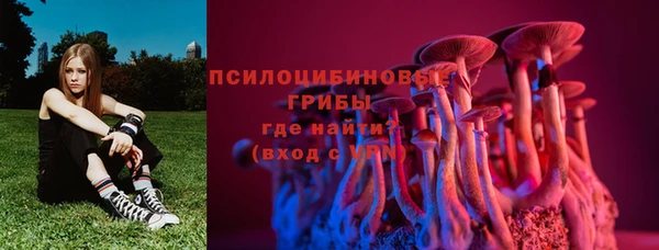 mdma Медвежьегорск