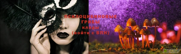 дурь Медногорск