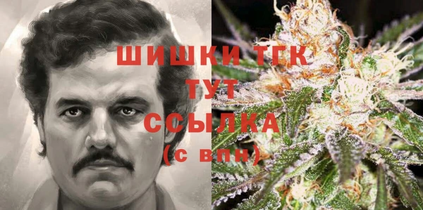 mdma Медвежьегорск