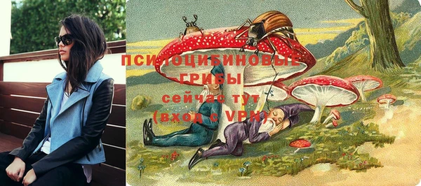 дурь Медногорск